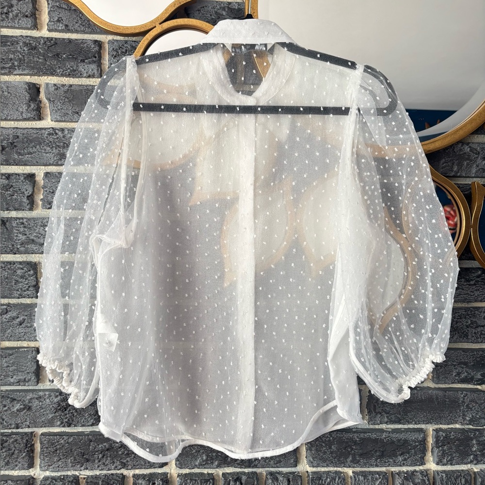 Zara White Sheer Polka Dot Blouse - Picture 9 of 10